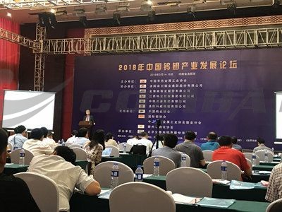 2018年中国钨钼产业发展论坛在我市顺利召开